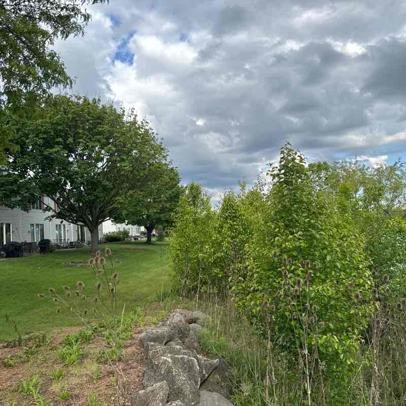 Balasubramanyam post 3