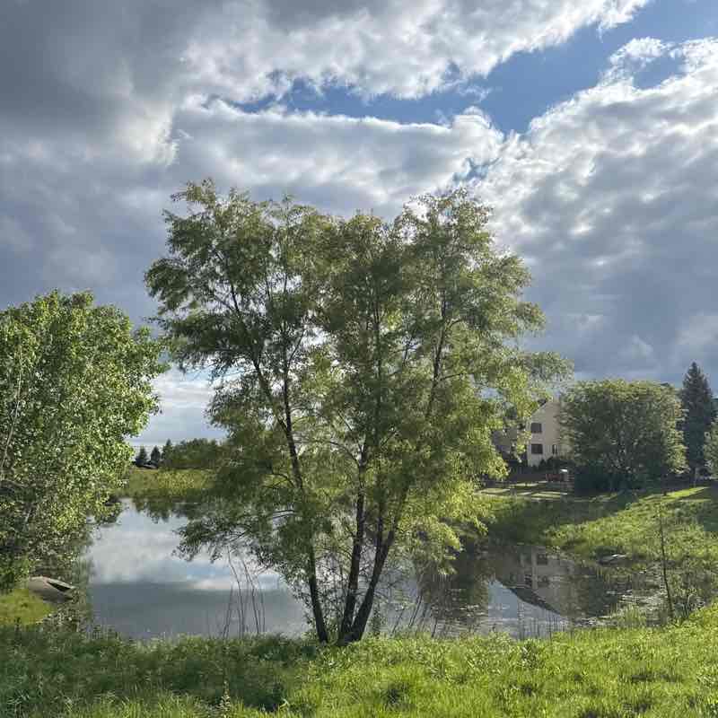 Balasubramanyam post 2