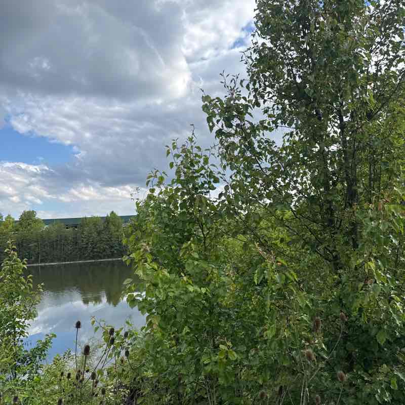 Balasubramanyam post 2