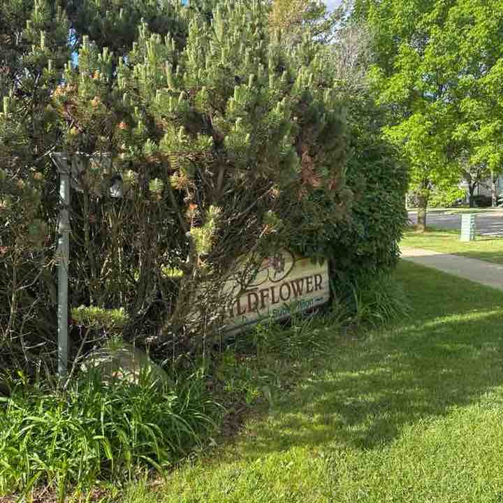 Balasubramanyam post 1