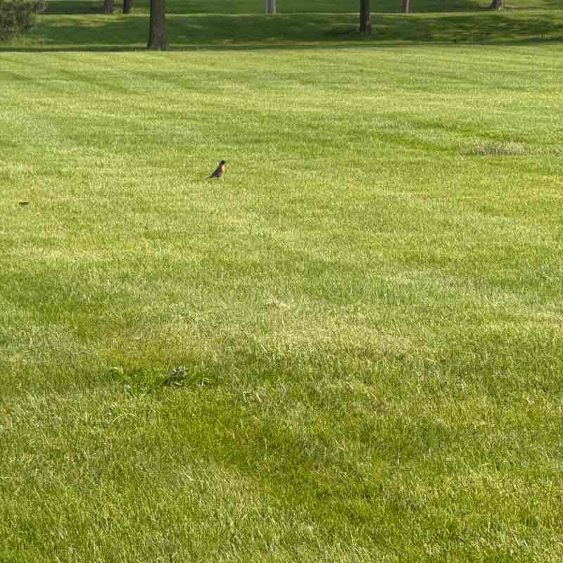 Balasubramanyam post 3