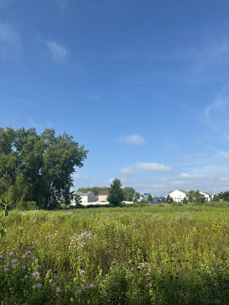 walking near me in Atwater Park in autumn