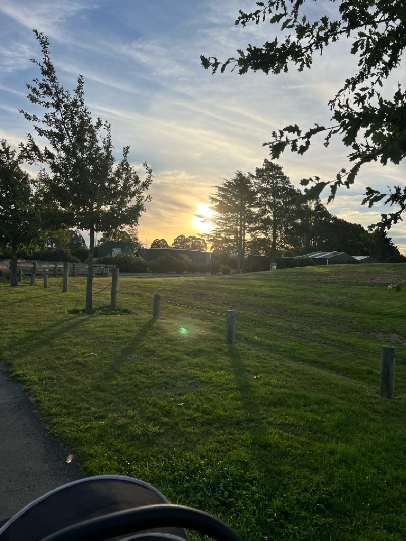 walking near me in Foster Park in summer