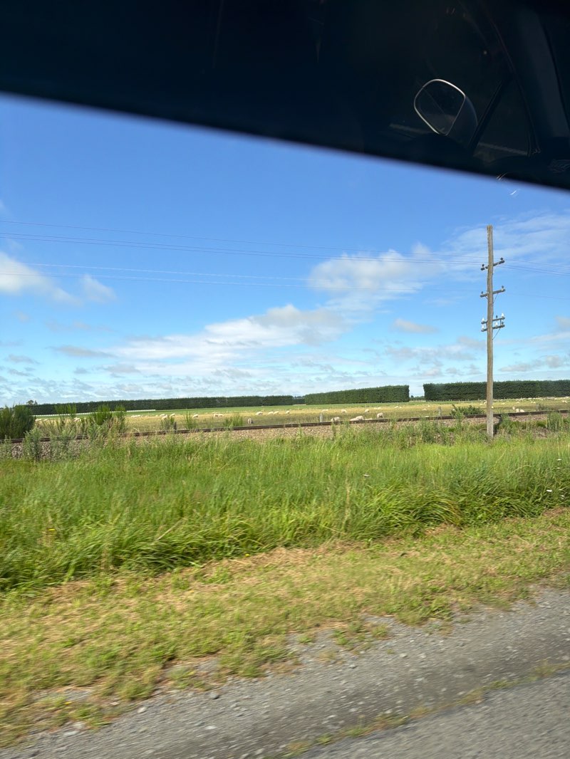 walking near me in Fowler Reserve in summer