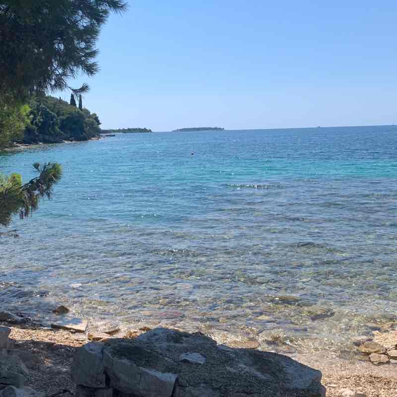 Benjamin Buffard post 2