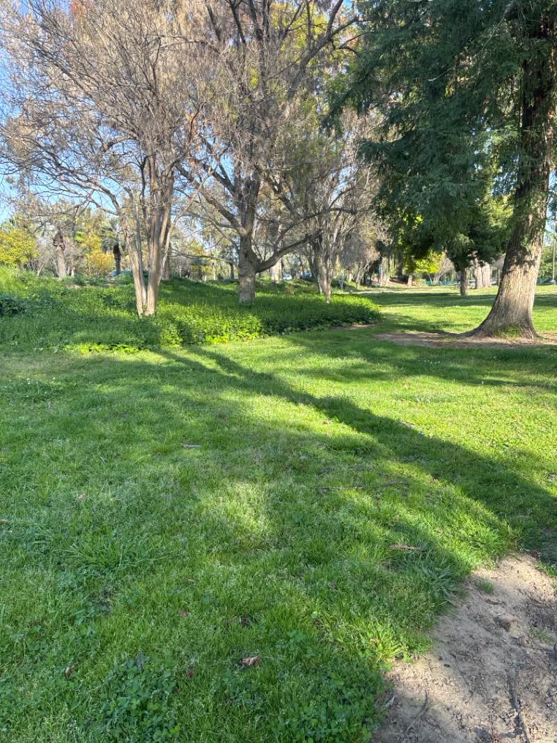 walking near me in Jennie Davis Park in spring