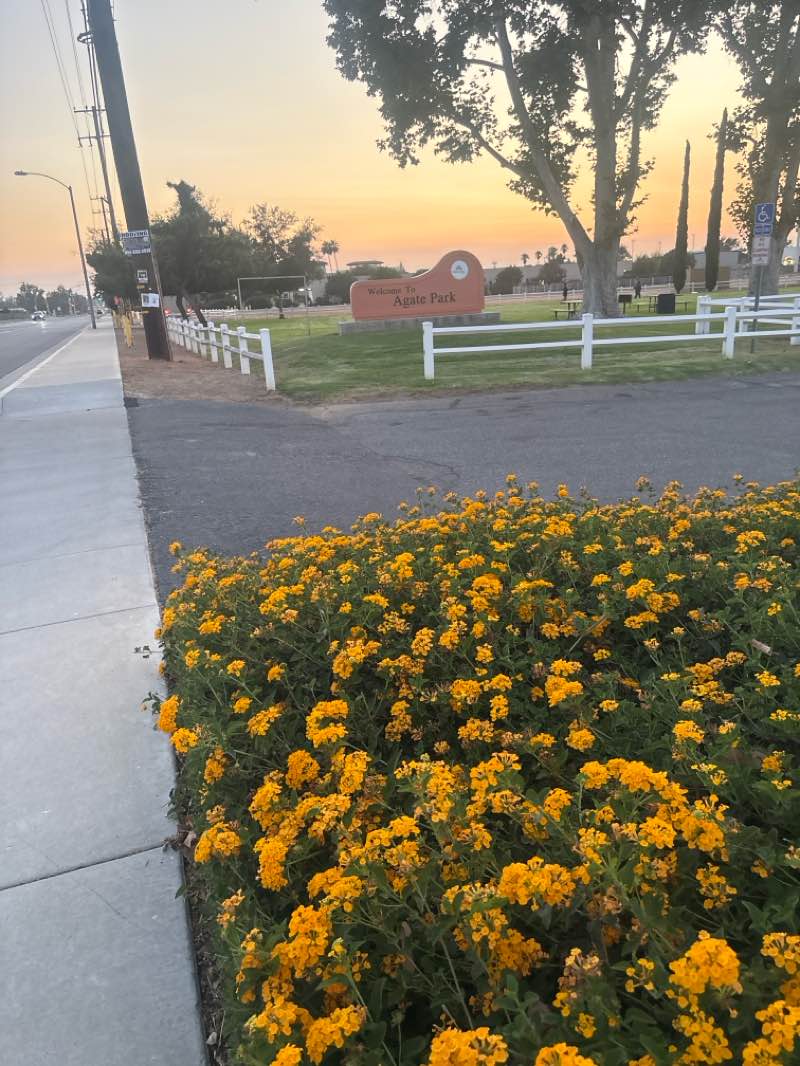 walking near me in Agate Park in autumn
