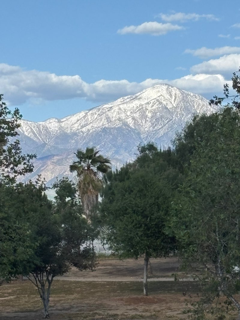 walking near me in Heritage Park in spring