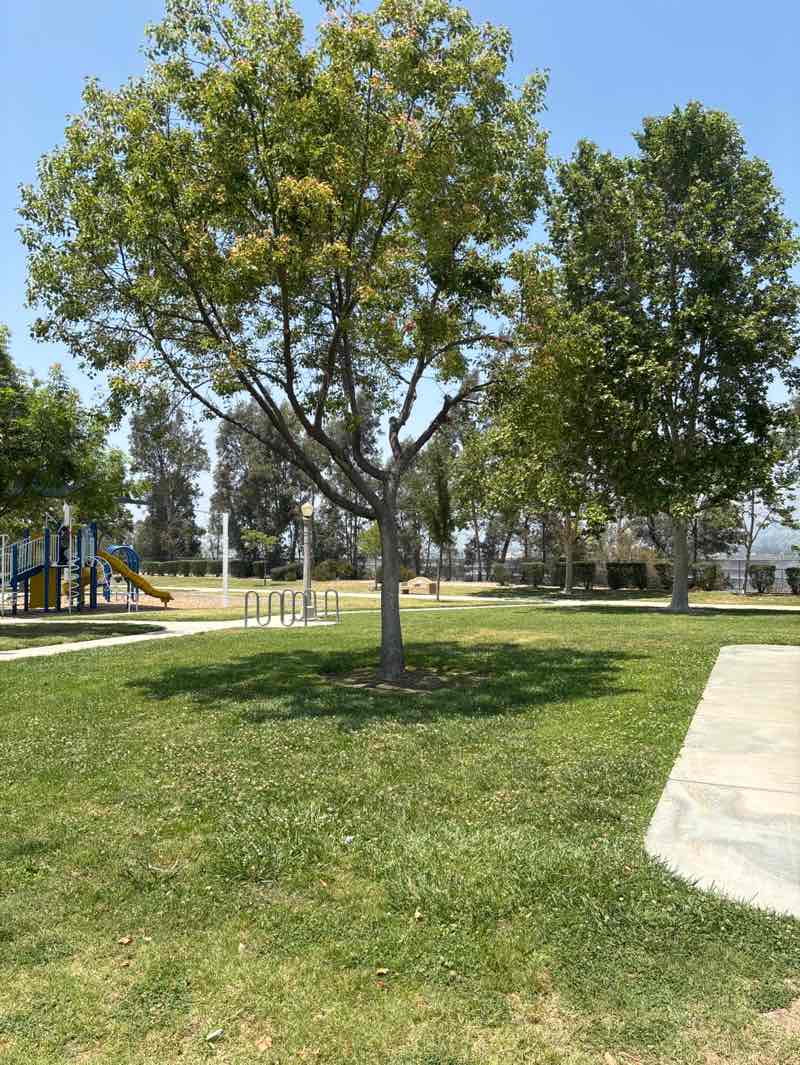 walking near me in Israel Beal Park in summer