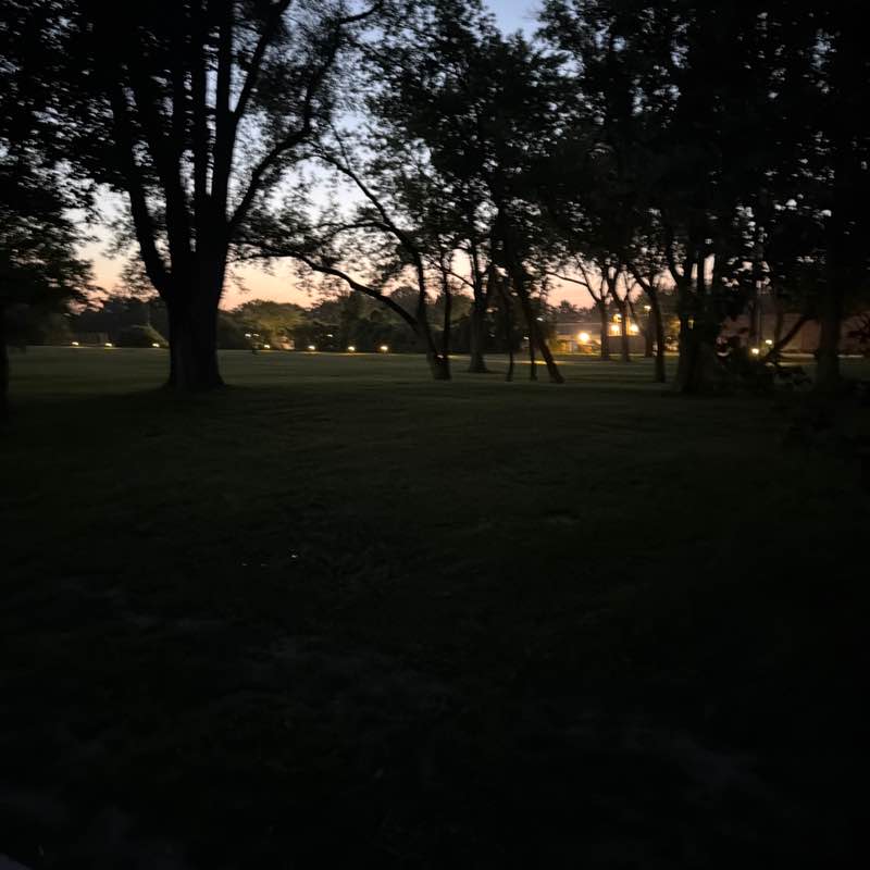 Darwin post 2