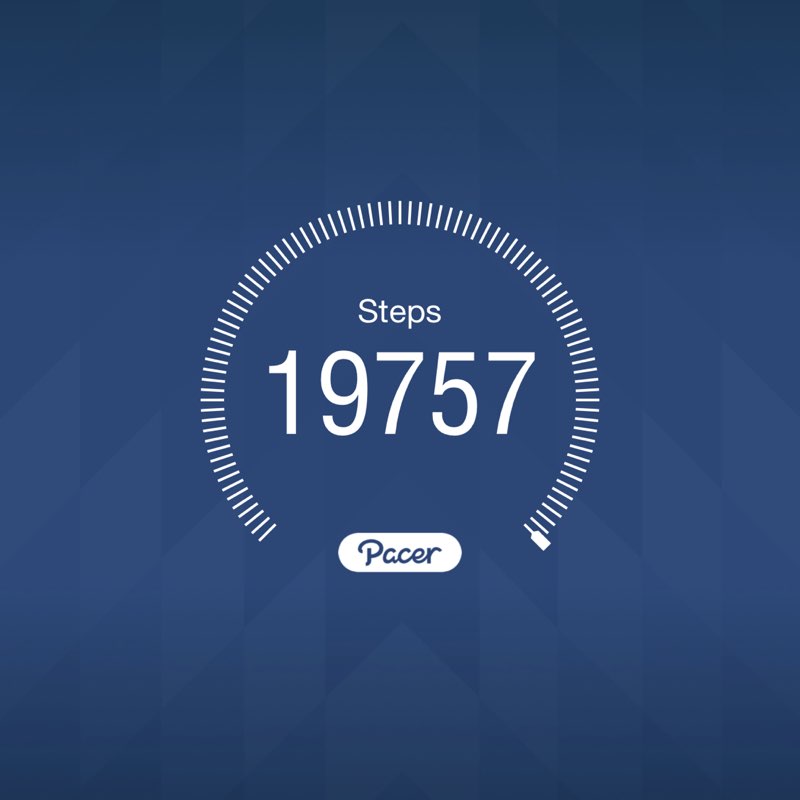 Dreamer SV Shetty post 1