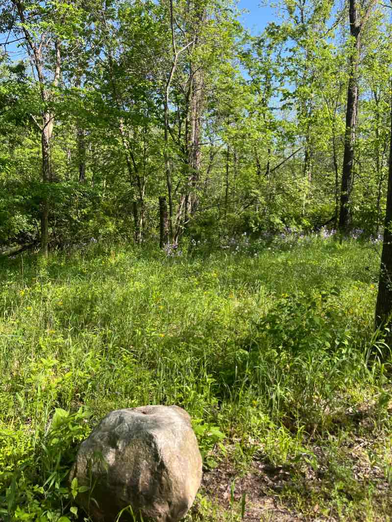 walking near me in Huston Park in winter