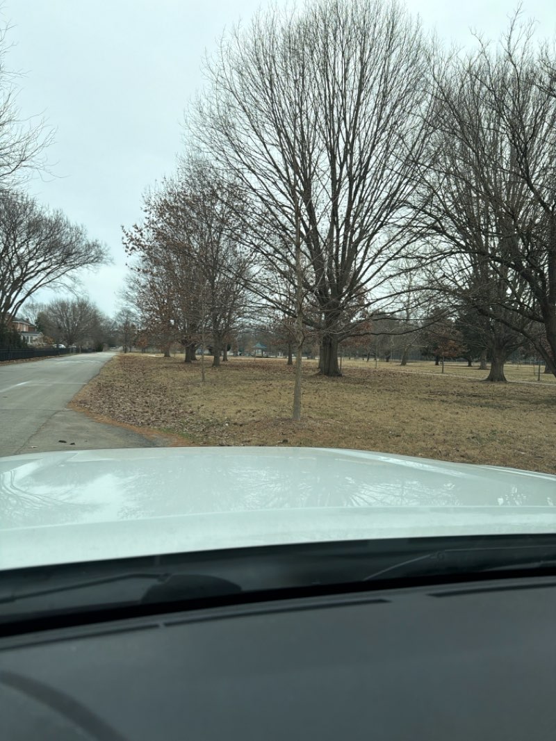 walking near me in Des Pres Park in winter
