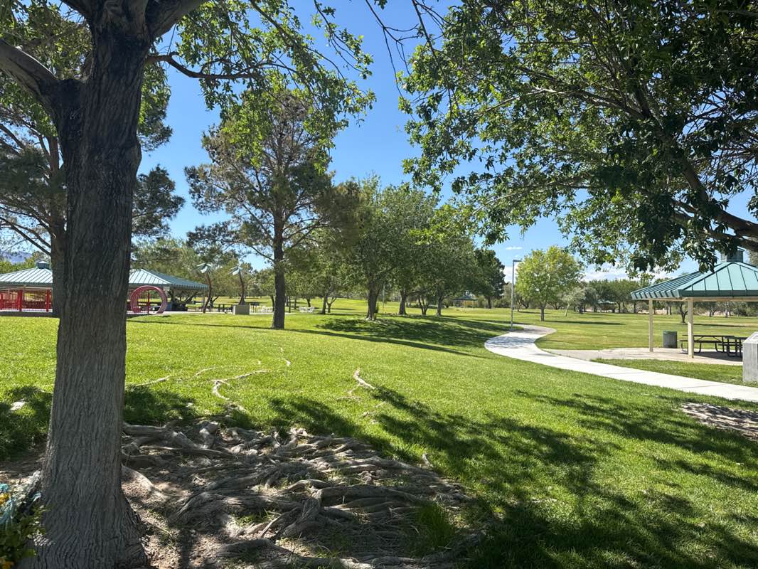 walking near me in Mountain Crest Park in summer