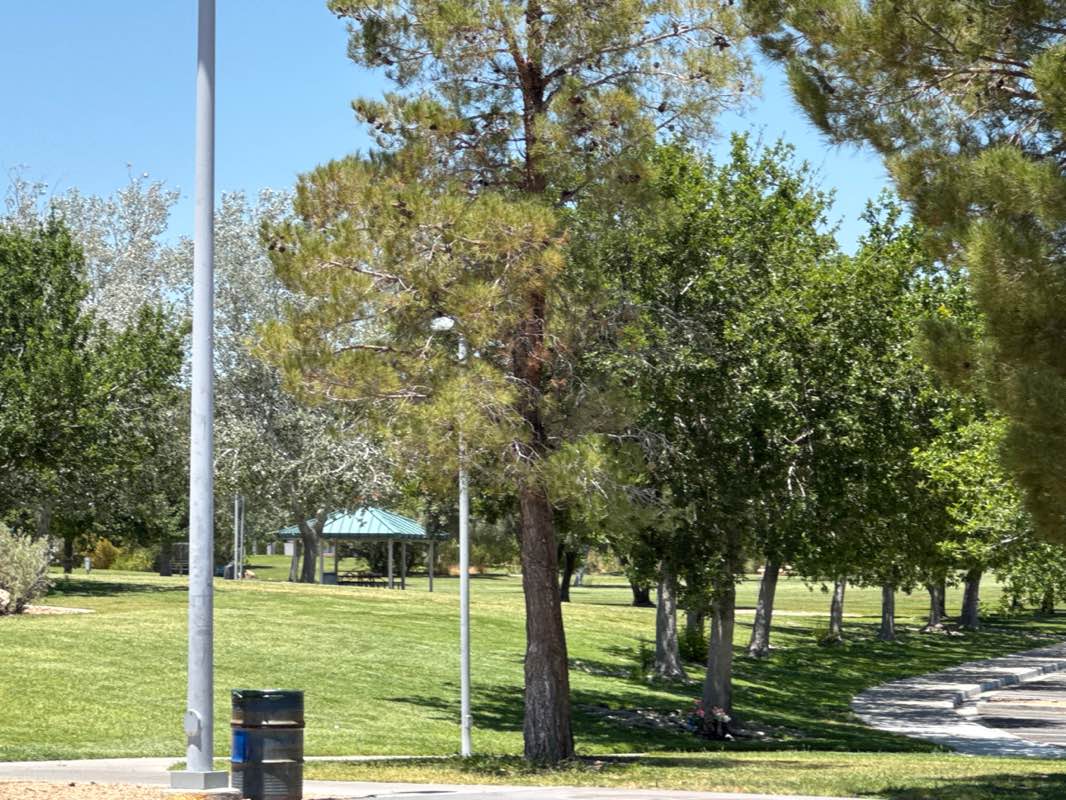 walking near me in Mountain Crest Park in summer