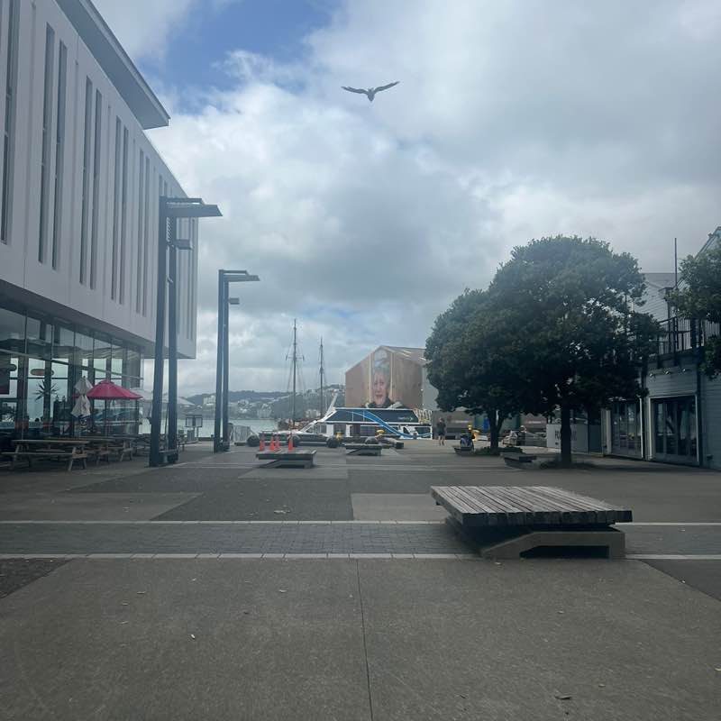 Puna Siaunuua post 1