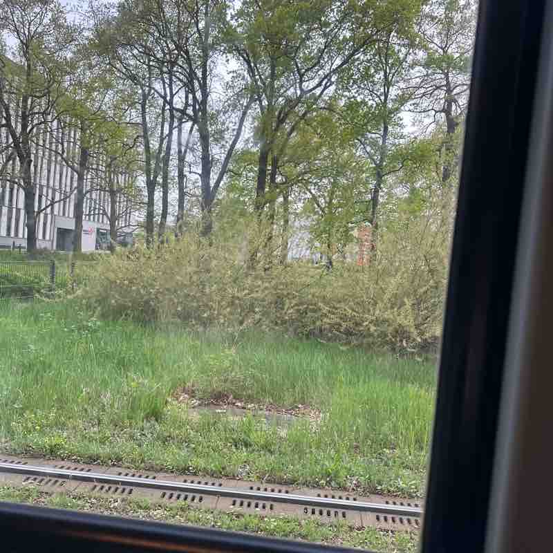 Johin 🇮🇳🇩🇪 post 1