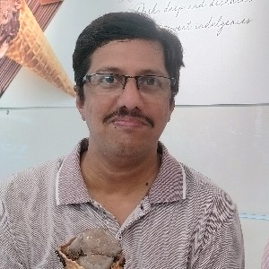 Giridhar K.S profile