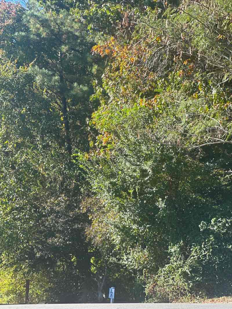 walking near me in Trailhead Park in autumn