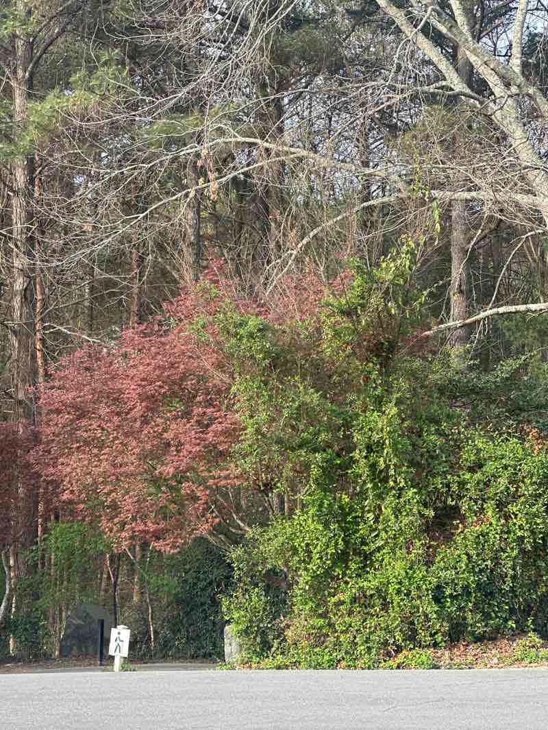 walking near me in Trailhead Park in spring