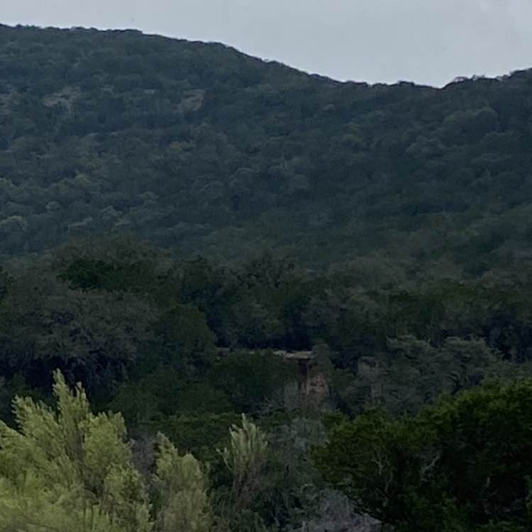 scottrbrown61 post 3