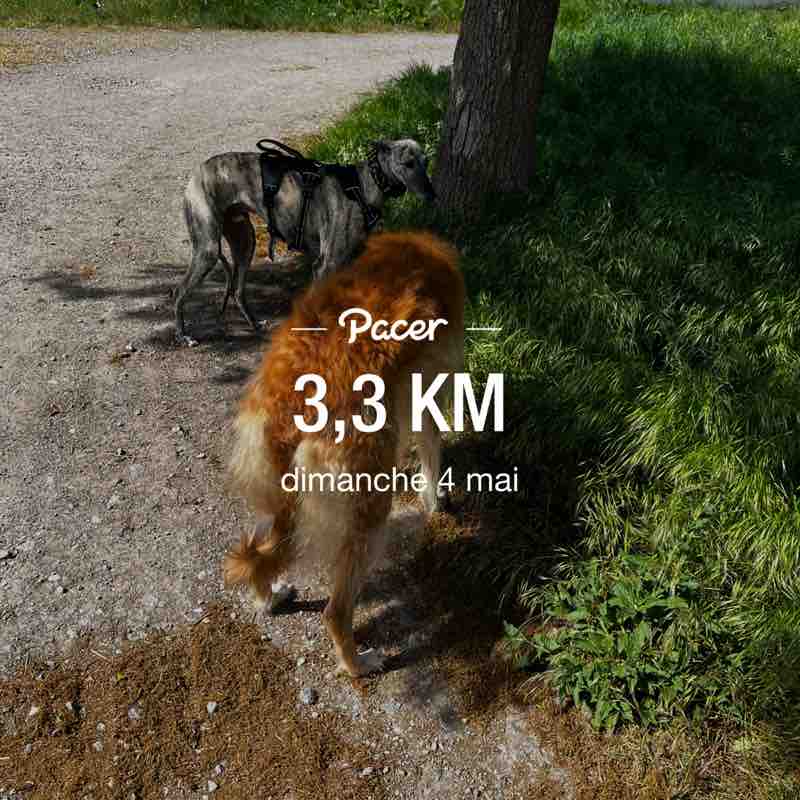 Vélina Hiéva Slava post 1