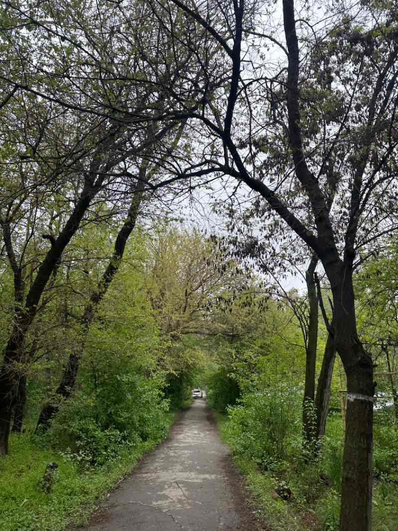 walking near me in Парк Ореховая роща in winter