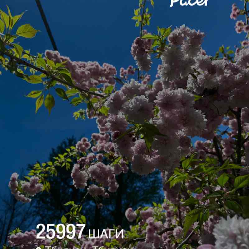 Кристина post 1