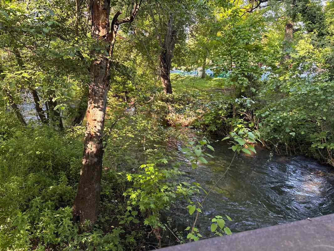 walking near me in Annie's Glen (Bidwell Park) in spring