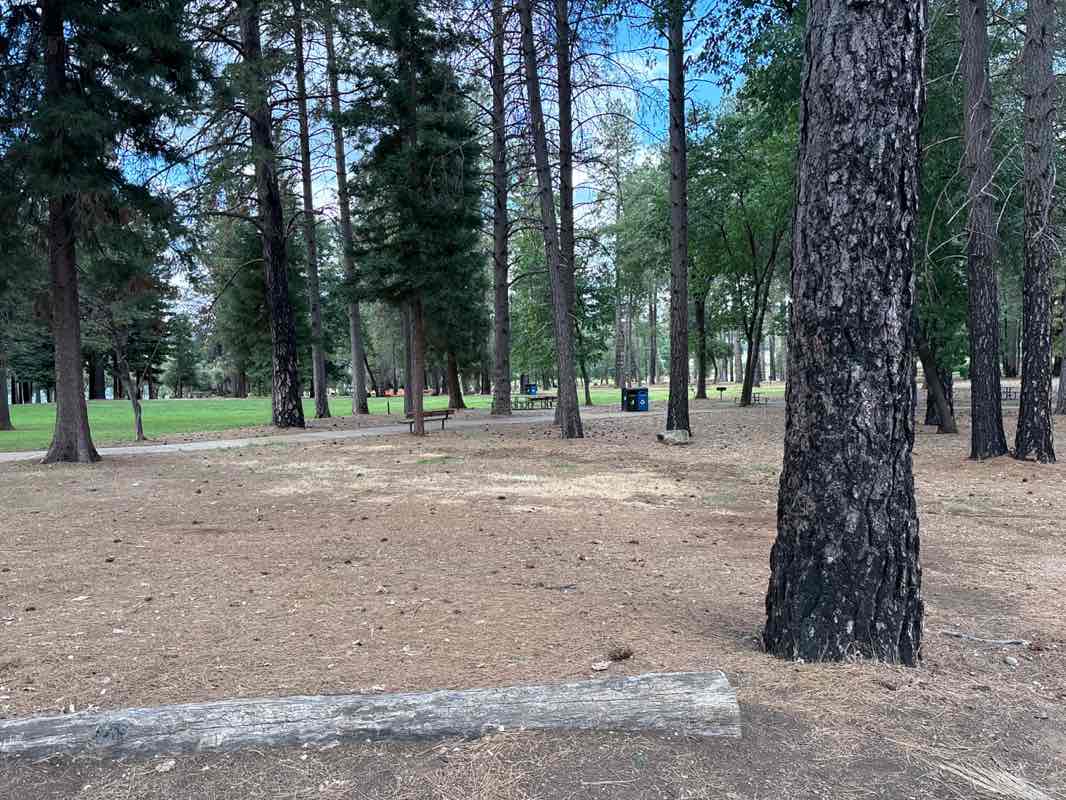 walking near me in Bille Park in spring