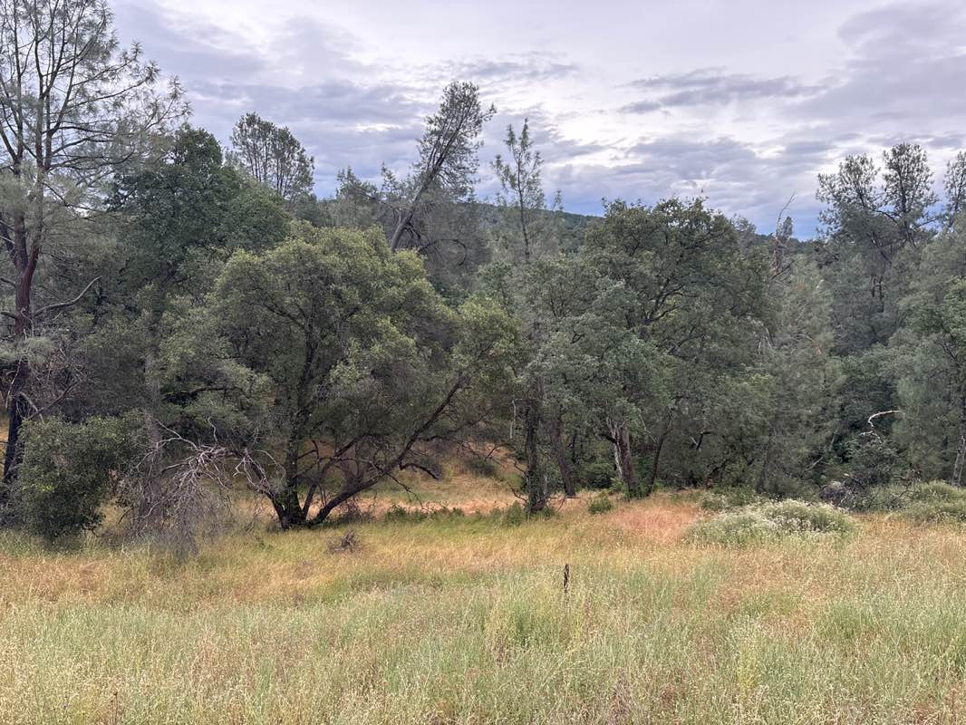 walking near me in Lake Oroville State Recreational Area in summer
