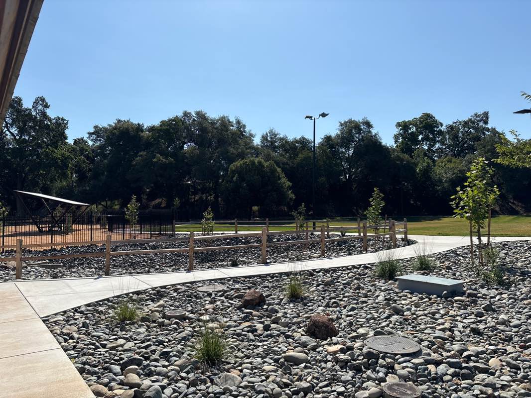 walking near me in Hewitt Park in summer