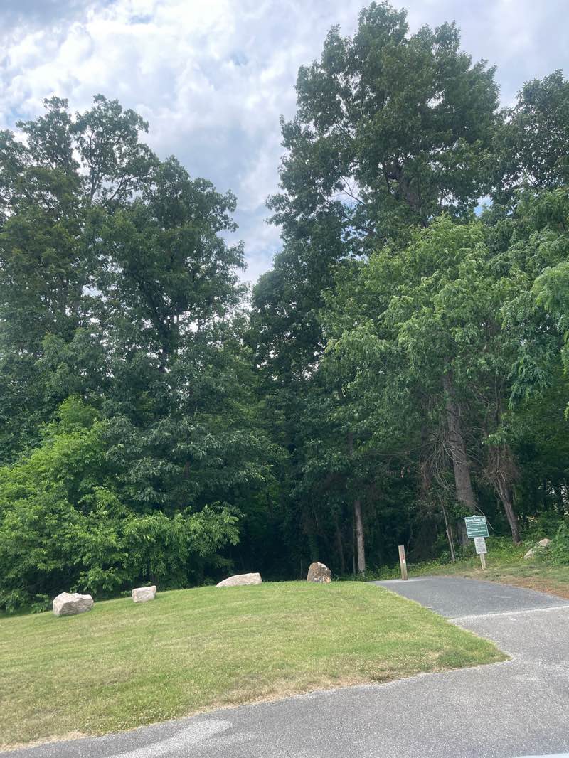 walking near me in High Ridge Park in summer