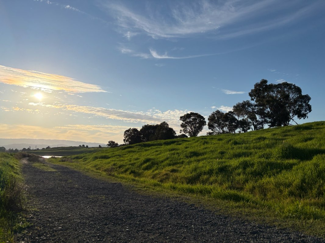 walking near me in Kelly Park in winter
