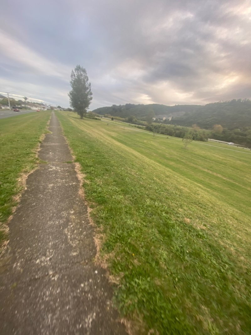 walking near me in Fraser Park in summer