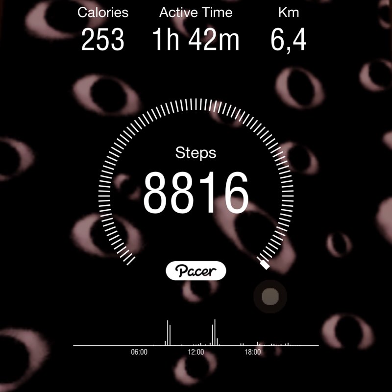 Zaion / Asnate Kocere post 1