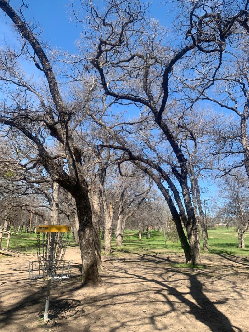walking near me in North Park in winter