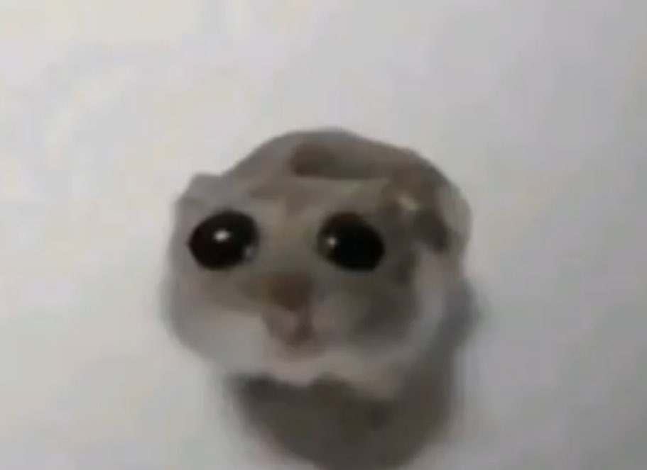 alicekalvehed profile