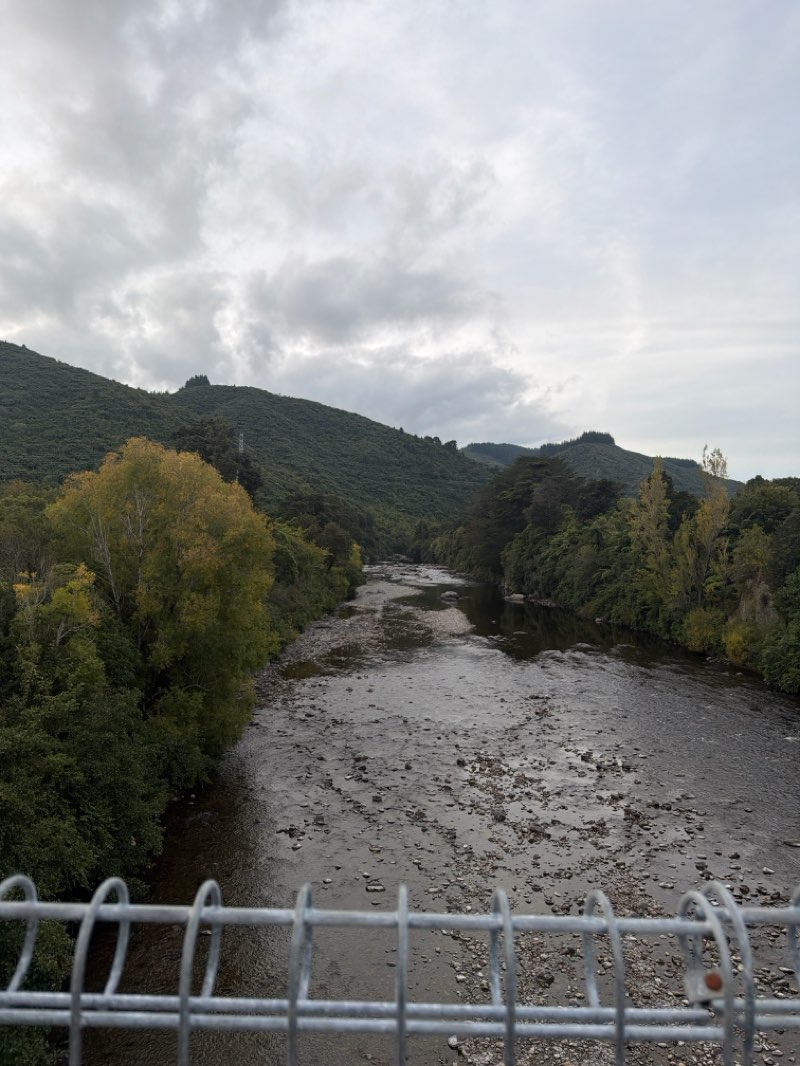 walking near me in Awakairangi Park in autumn