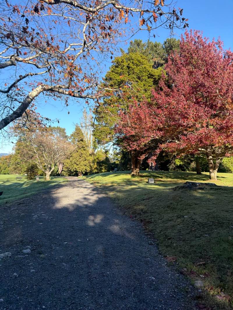 walking near me in Harcourt Park in autumn