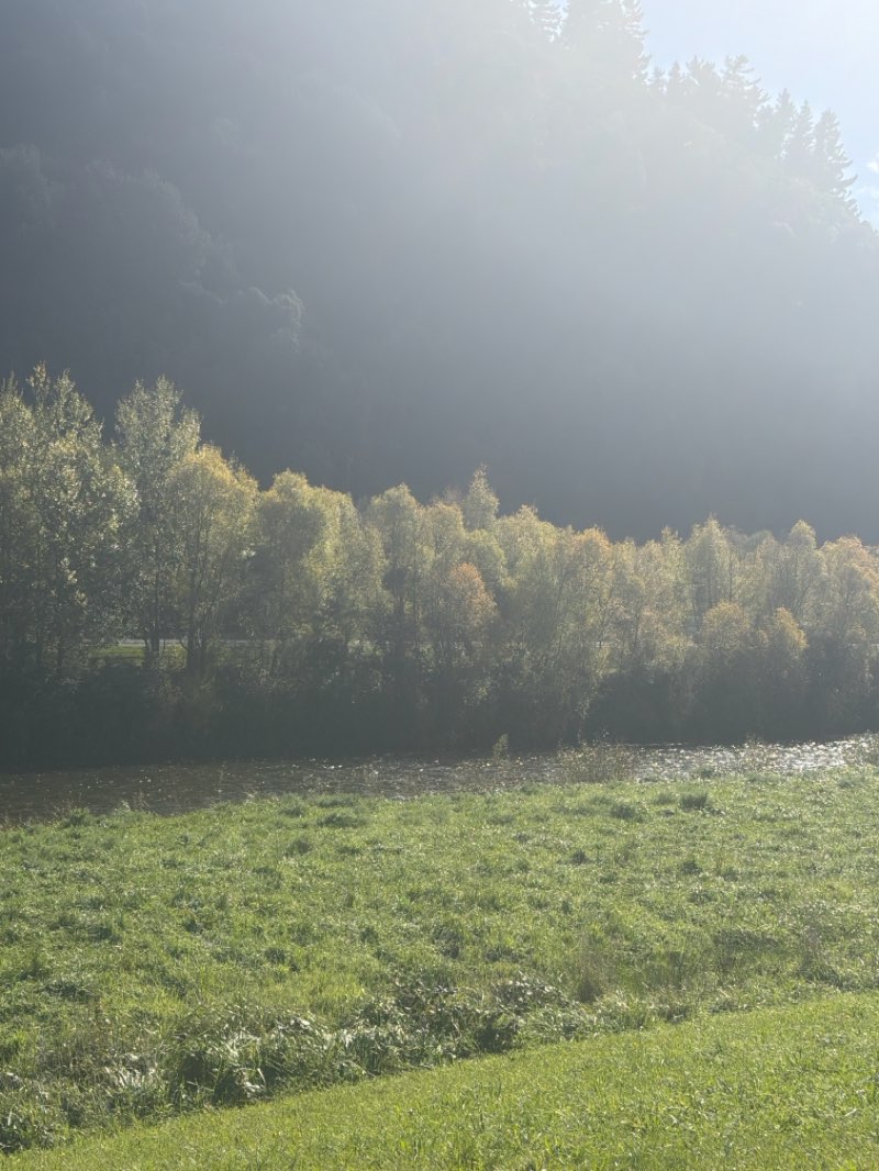 walking near me in Moonshine Park in autumn
