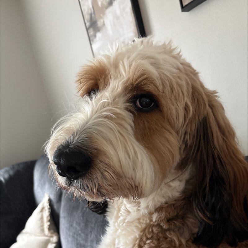 Maddy :) profile