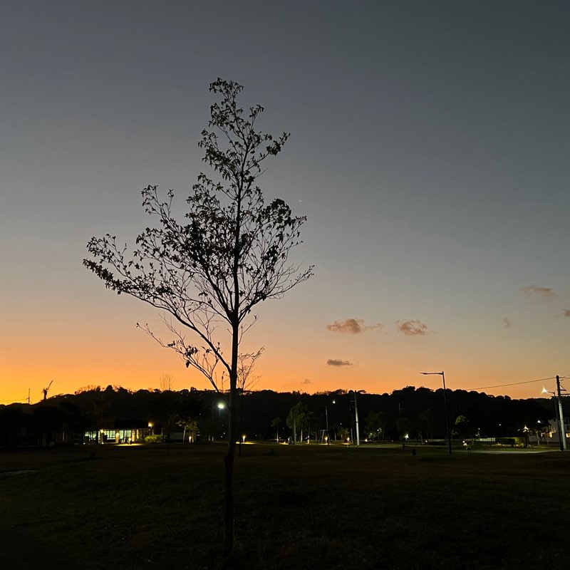 Maybelle Lynn profile