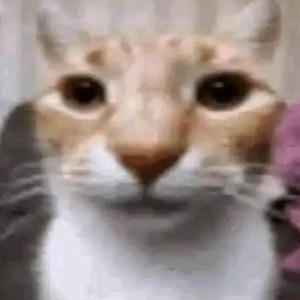 Mathias Elvhammar icon