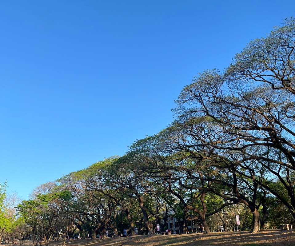 Joyce Celine Santillan_Assurance icon