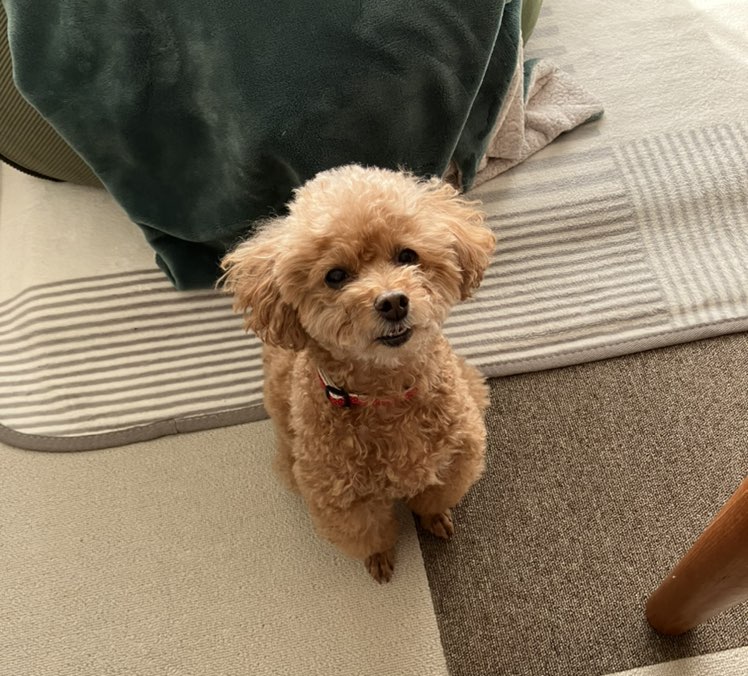 すみのふ profile