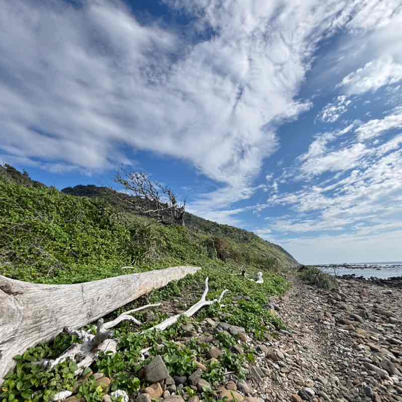 Cloud in the Wind post 2