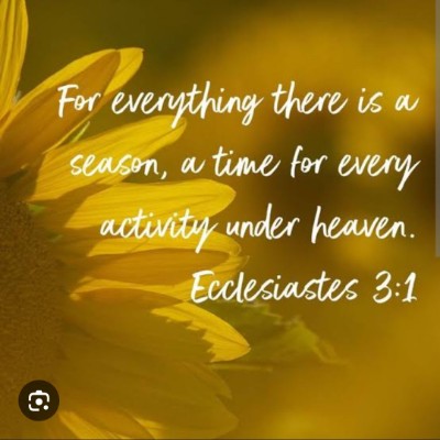 Karl 4 Jesus✝️ post 2