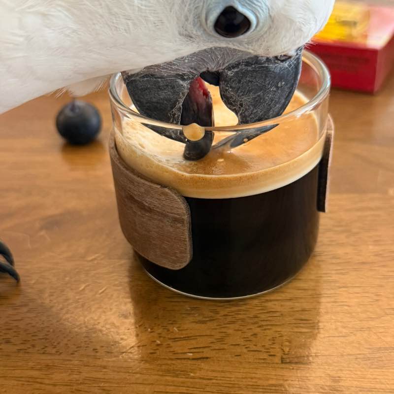 ALI ISSA ALASADI post 2