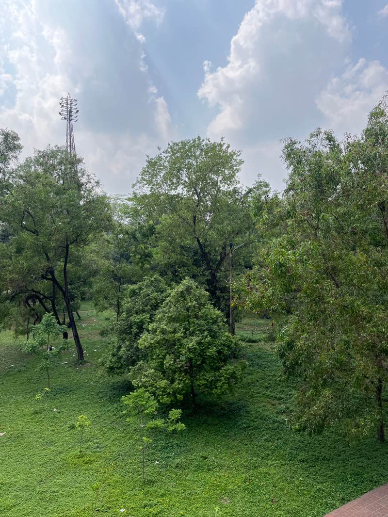 walking near me in Zia Uddan in spring